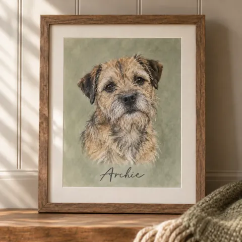 Pet portraits